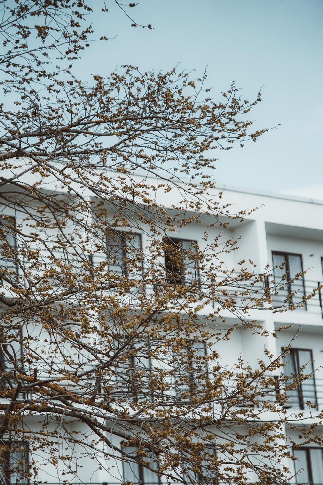 Oe Seaside Suites & Spa クレサーレ エクステリア 写真